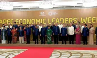 Fostering APEC development