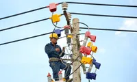 Electricity provider makes 110.3 million USD profit