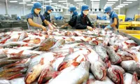 New barriers for Vietnamese pangasius fish