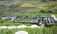 Application of dewats water system in Vietnam