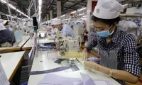 13.8% rise in newly-registered firms