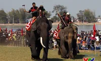 Central highlands’s elephant and boat race