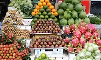 Vietnam’s fruit and vegetable exports gain popularity in ASEAN markets