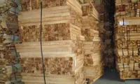 Chinese buyers depleting VN’s raw lumber