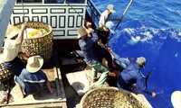 NA to keep tabs on fishermen’s compensation