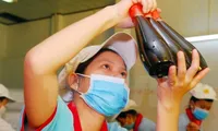 MoH to inspect Masan, Khải Hoàn fish sauces