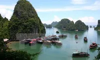 Australian tourist dies in Hạ Long Bay