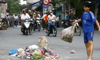 Public ignore stiff fines for littering