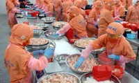 Việt Nam slams Australia’s prawn ban