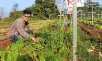 VN garden has Israeli roots