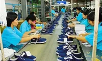 VN footwear firms need to step forward: experts