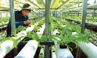 Tiền Giang develops hi-tech agricultural park