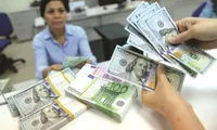 Alarm over foreign currency lending growth