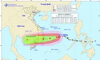 Storm Damrey strengthens to level 15