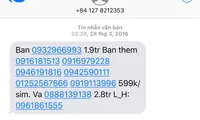 Spam phone numbers blocked in Hà Nội