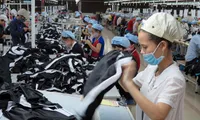 Fast fashion challenges VN firms