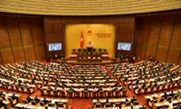 National Assembly discusses law on state responsibility for compensation