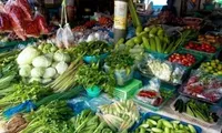 64% of vegetables in Thailand are unsafe