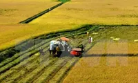 First agricultural aircraft in Vietnam