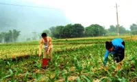 Rural communities to overcome poverty