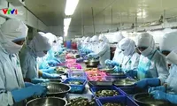 Aquaculture exports to reach 7.4 billion USD