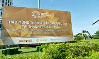 Da Nang smile campaign