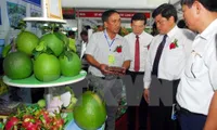 Vietnam largest agriculture expo opens in HCM City