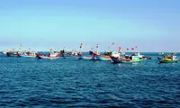 Mard reports on Vietnamese fishing boats seized by Indonesia