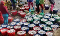 Fishermen in Quang Ngai begin first offshore fishing trip of the year
