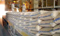 Six-month cement exports expand 50% year-on-year