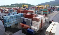 Da Nang Port handles over 774,000 tonnes of cargo in June