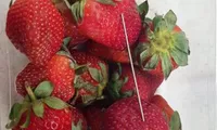 Australia strawberry scare: Woman arrested in Queensland