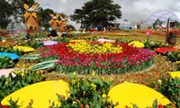 Promoting local specialties through the Da Lat flower festival