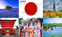 Vietnam - Japan celebrate 45 years of diplomatic ties