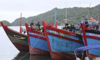 Encouraging responsible fishing among Vietnamese fishermen