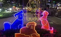 HCMC flower street to celebrate Year of the Dog