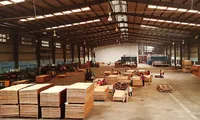 Vietnamese wood products face competition