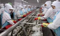 Vietnam's seafood exports to ASEAN expected to reach US 1$ billion