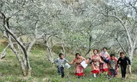 Photo exhibition promotes image of Bac Ha, Lao Cai