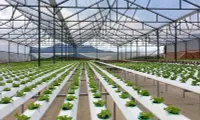 Smart technologies applied to develop agriculture