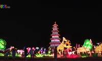 Ho Chi Minh City holds first lantern festival