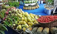 Fruit festival opens in Ben Tre province