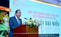 Promoting domestic and overseas Vietnamese business links