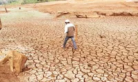 Drought threatens in Ninh Thuan