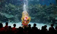 Lion dancing on water