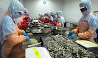 Ministry takes action in response to EU’s warning of IUU fishing