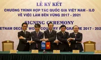 New framework sets Việt Nam-ILO cooperation