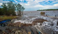 Sediment loss in Mekong River killing southern delta