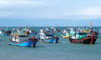 Vietnam's marine development result discussed