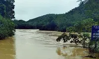 Thousands of hectares of paddy rice submerged